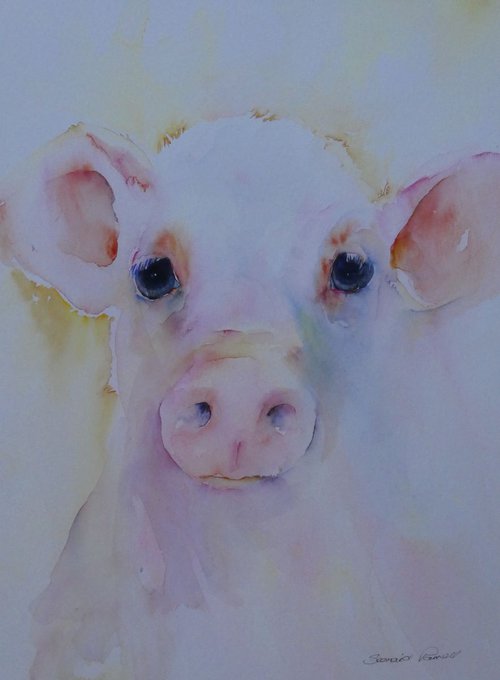 Piggy Wig by Seonaid Parnell