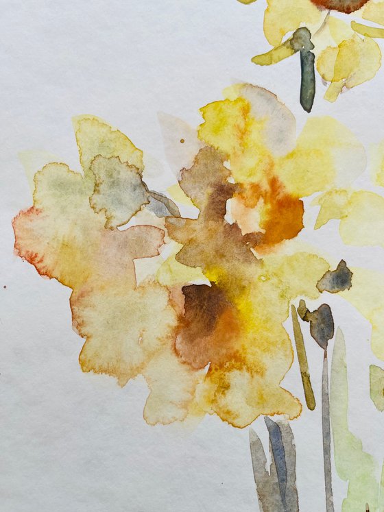 Daffodils 2  2022