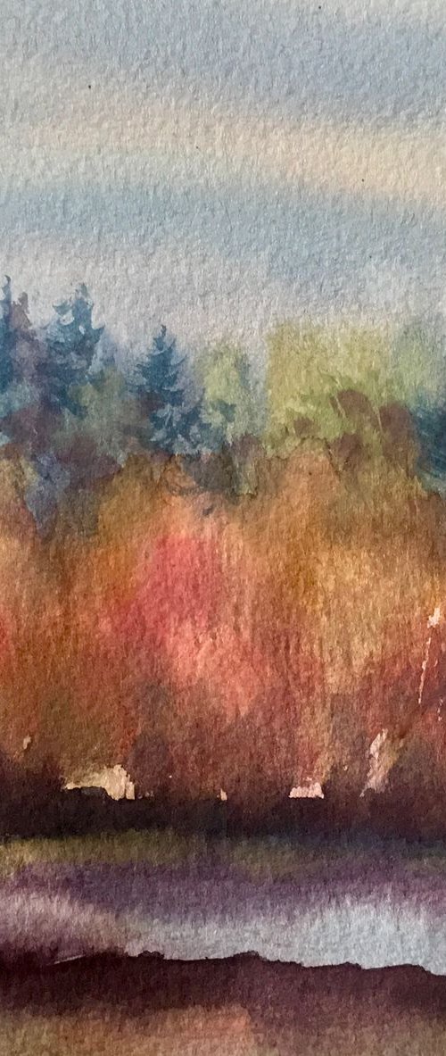 Autumn at Stourhead by Samantha Adams