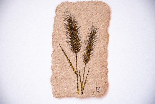 Spikelets drawing on handmade craft paper by Rimma Savina