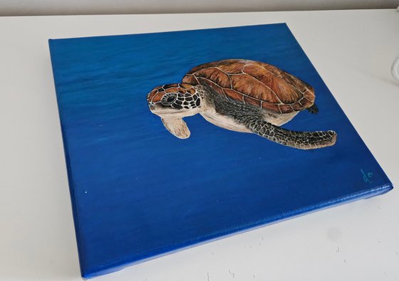 Seaturtle