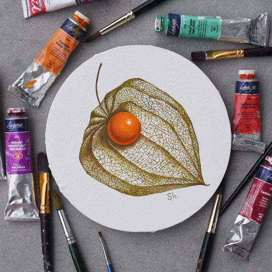 Physalis