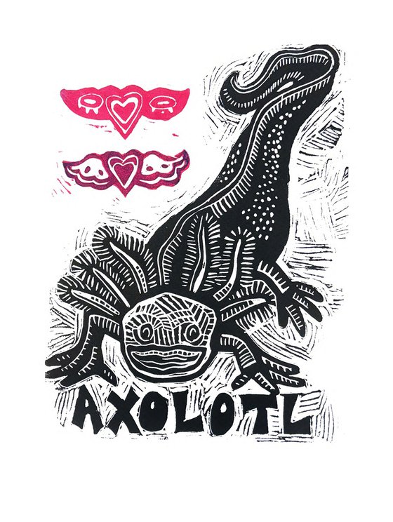 Axolotl