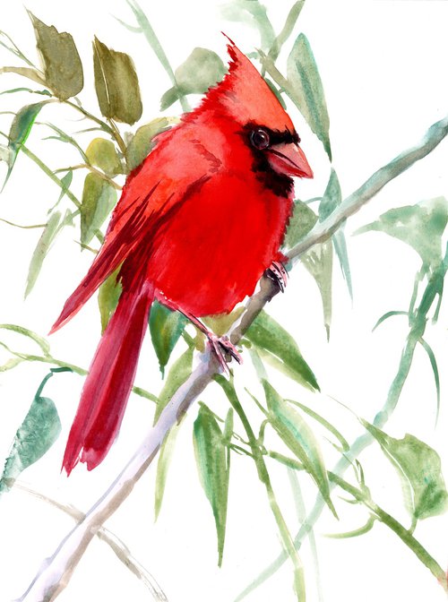 Caridnal bird watercolor painting by Suren Nersisyan