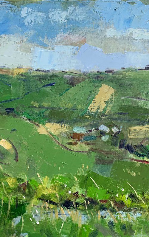 The Downs above Sompting by Andre Pallat