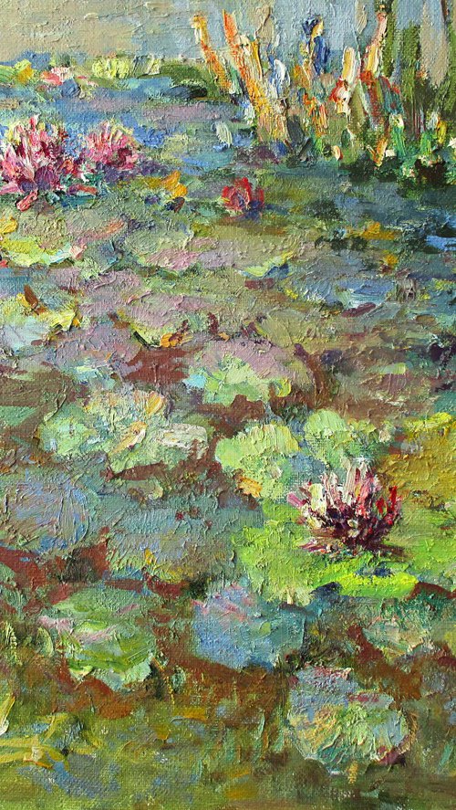 Water Lilies in autumn pond by Liudvikas Daugirdas