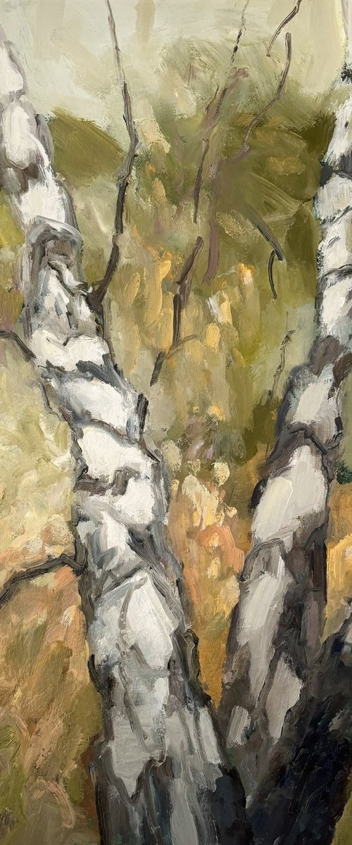 Birch Forest 2 by Joanna Farrow