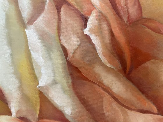 Flemish Roses Duet