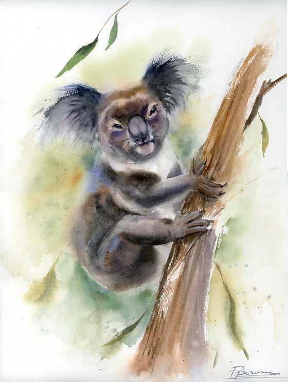 Koala in the Morning Mist