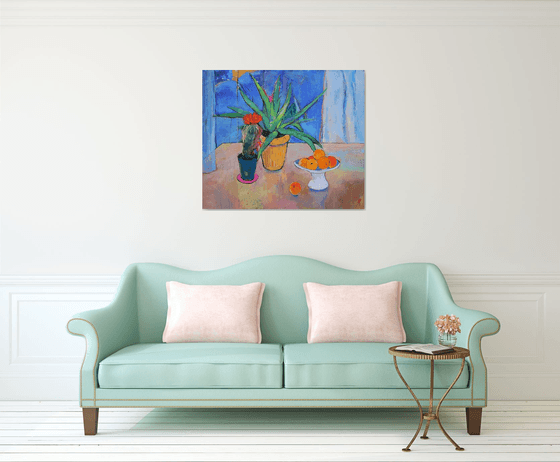 Aloe Vera and cactus