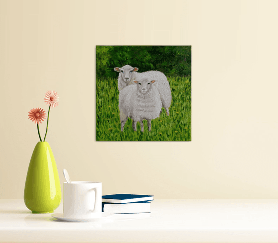 Sheep in the meadow