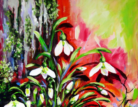 Snowdrops in the garden