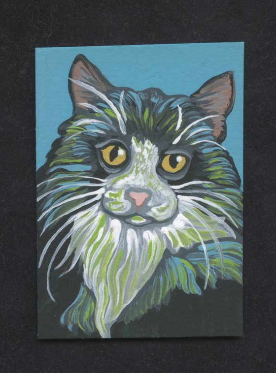 ACEO ATC Original Miniature Painting Colorful Tuxedo Cat Pet Art-Carla Smale