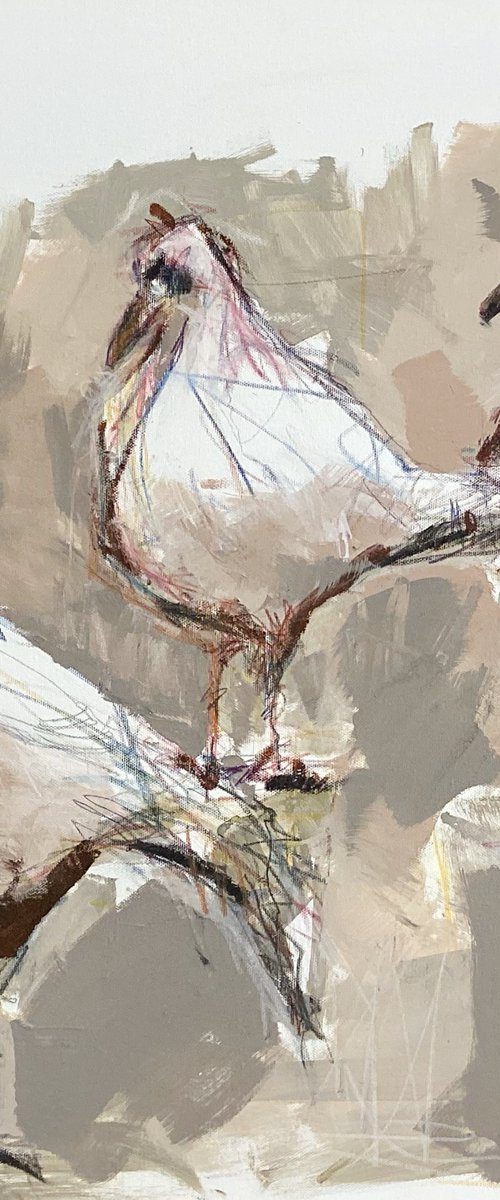 The Gulls by Irene Wilkes