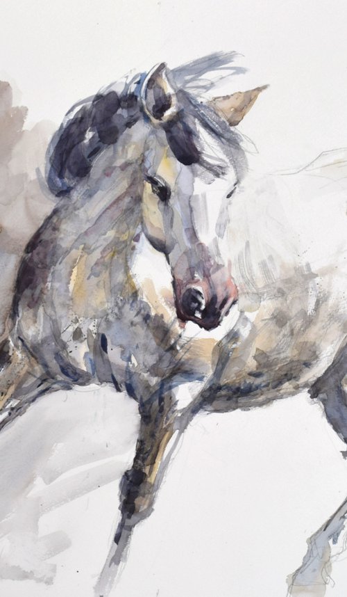 Horse in the trot (70x50) by Goran Žigolić Watercolors