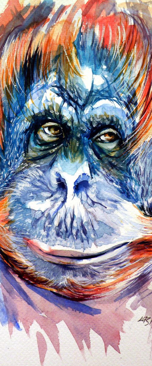 Orangutan by Kovács Anna Brigitta