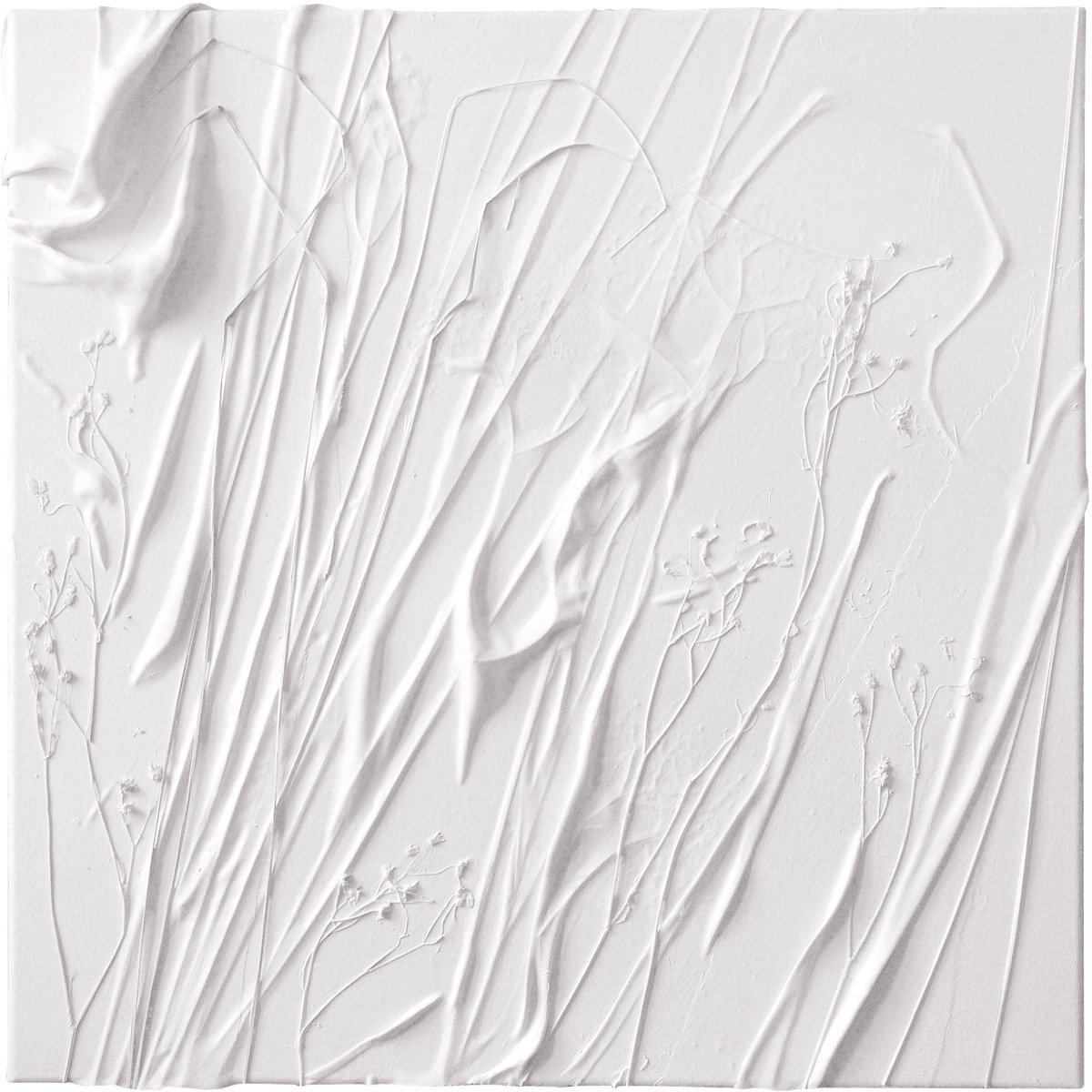 Grasses, white relief by Jolanta Czarnecka