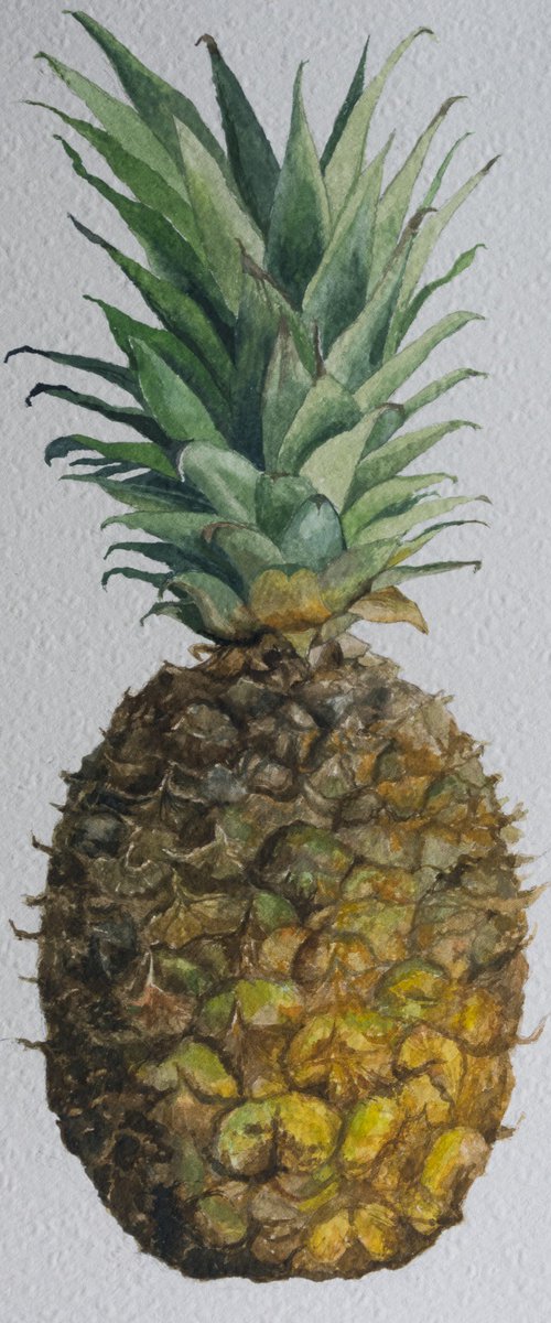 Pineapple Still Life by Sue Cook
