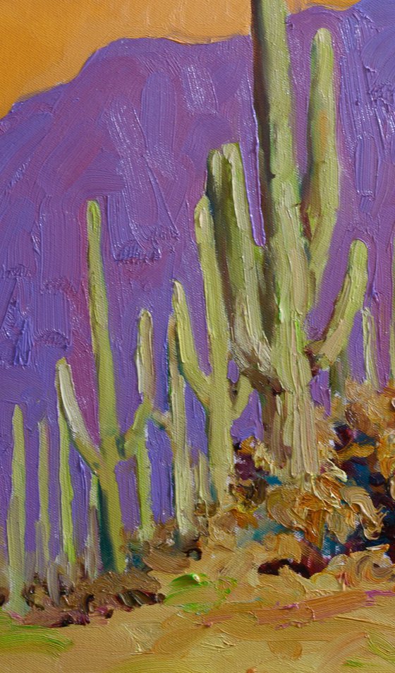 Saguaro. Desert Evening