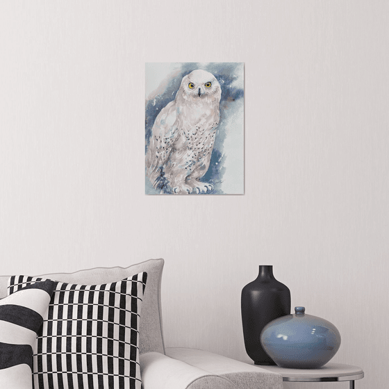 White Owl Vida