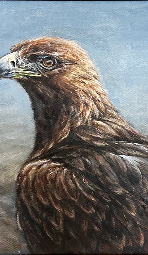 Golden Eagle, bird of prey by Una Hurst