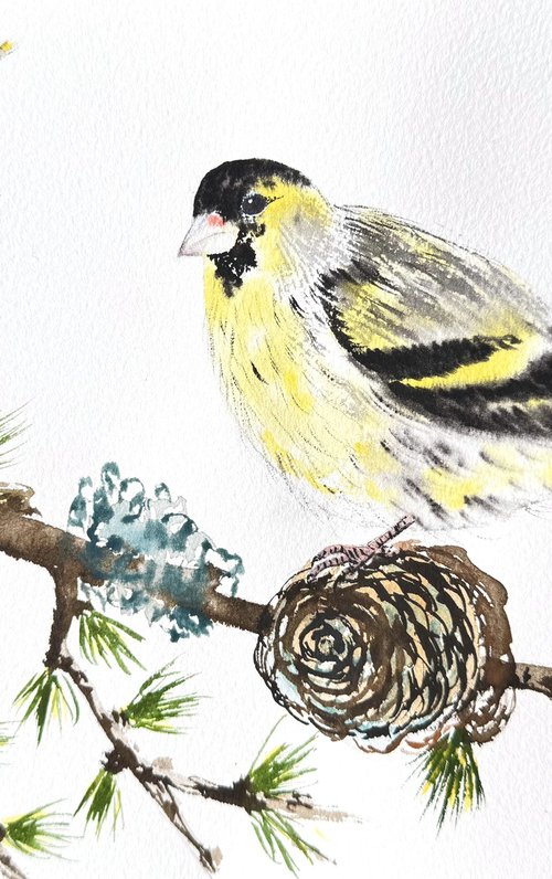 Eurasian Siskin Colorful bird by Yuliia Sharapova