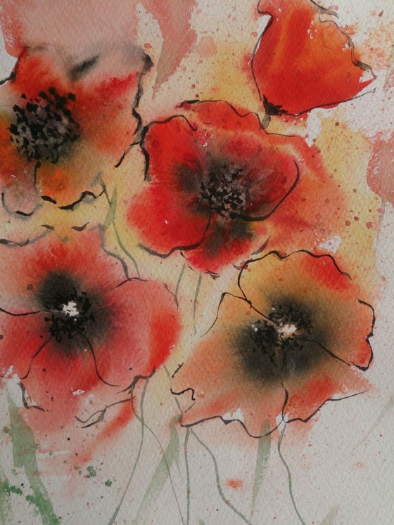 Poppy flowers 1