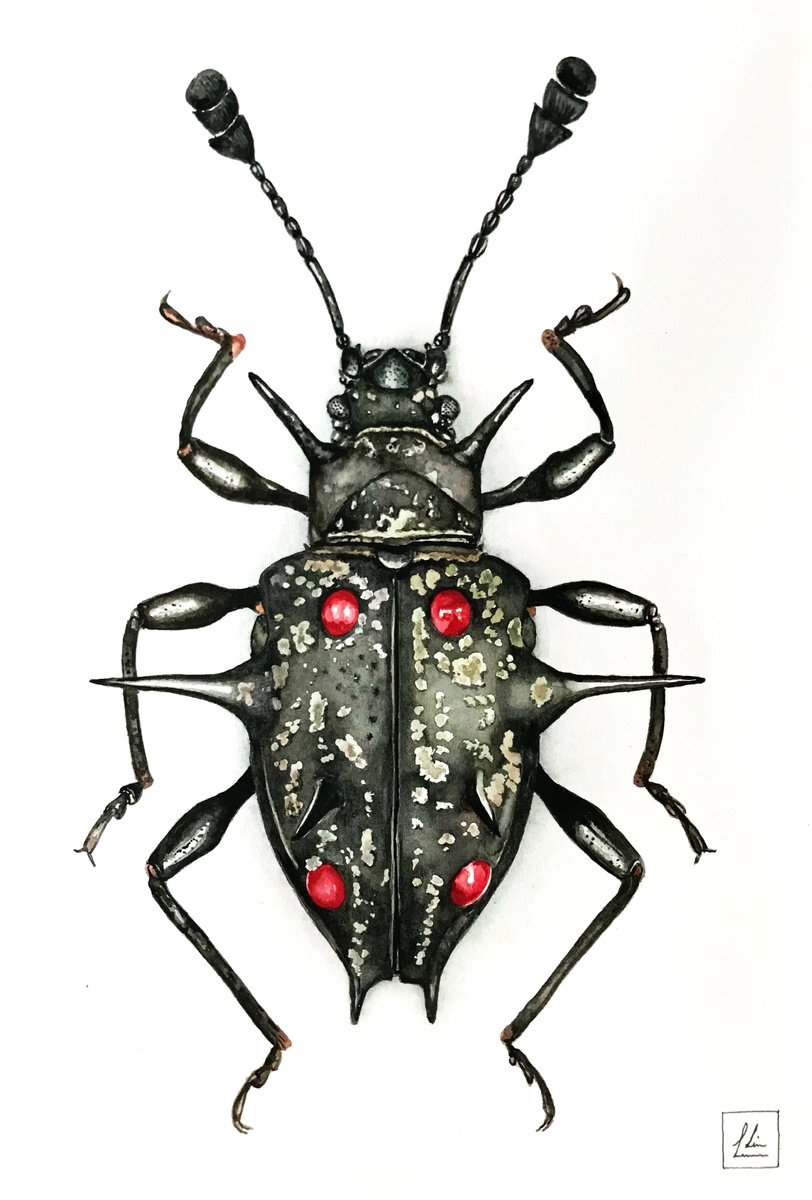 Black Bug by Lisa Lennon