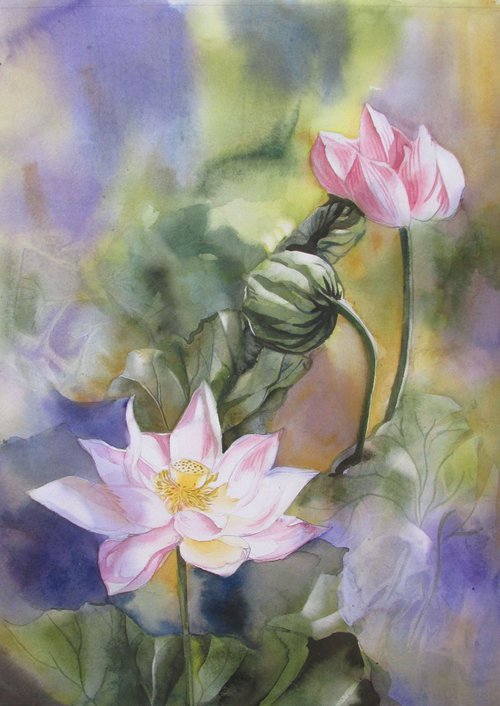 lotus watercolor by Alfred  Ng
