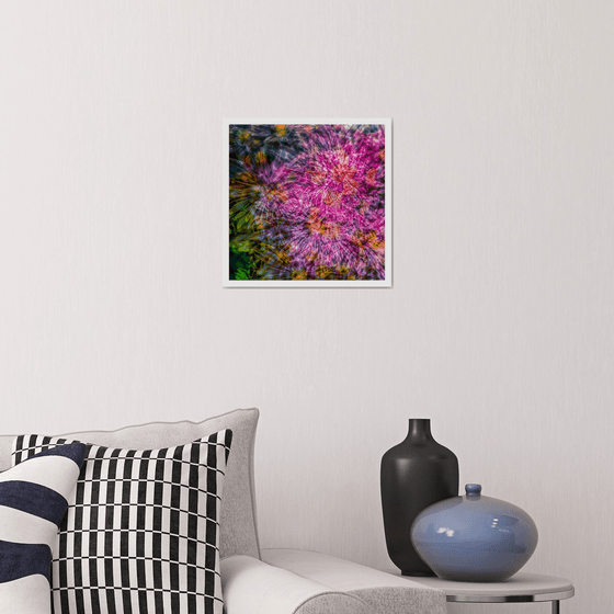 Abstract Flowers #6. Limited Edition 1/25 12x12 inch Photographic Print.