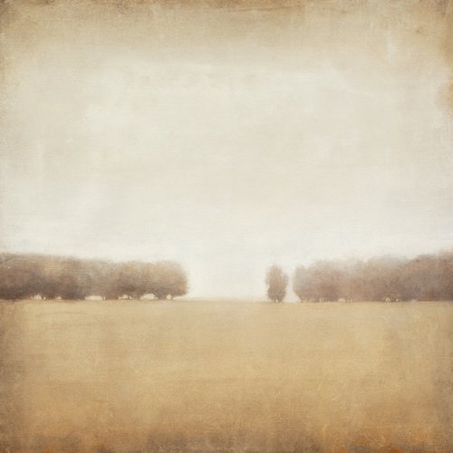 Field And Trees 220316, earth tones tonal landscape with trees by Don Bishop