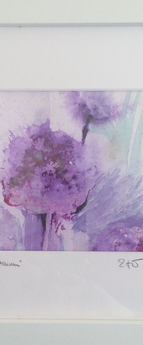 Allium by Gesa Reuter
