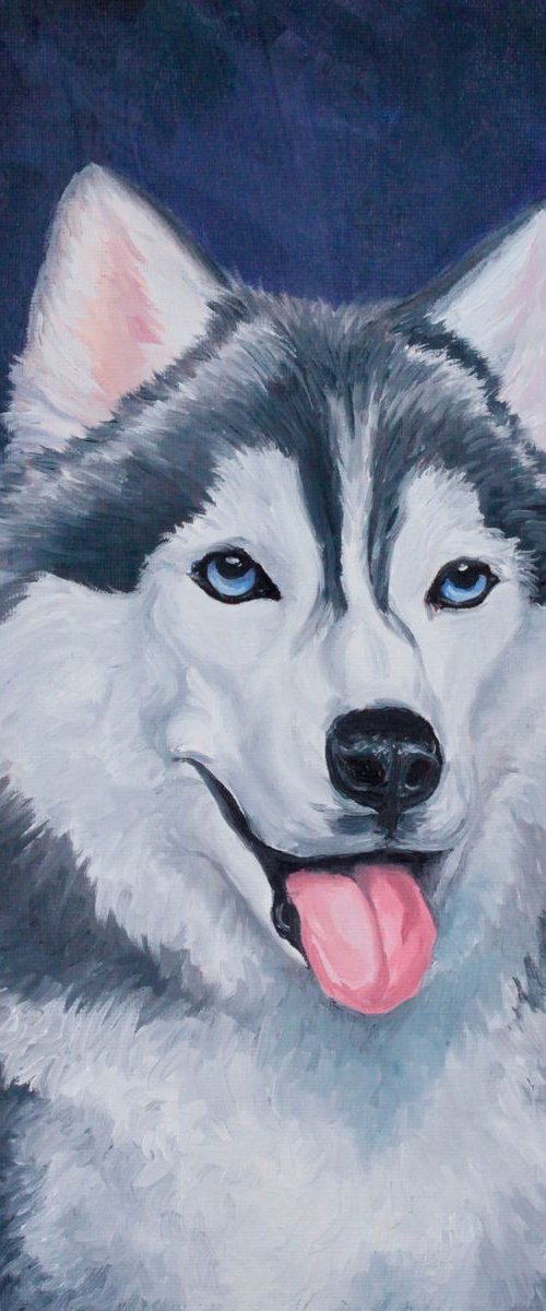 Husky Portrait by Kristi Herbert