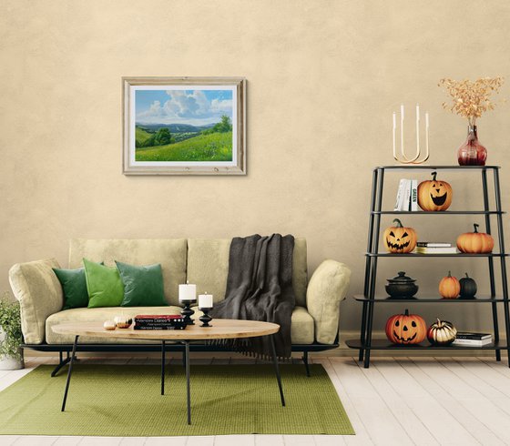 Meadows of early summer