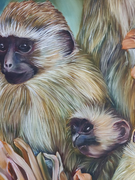 Monkeys