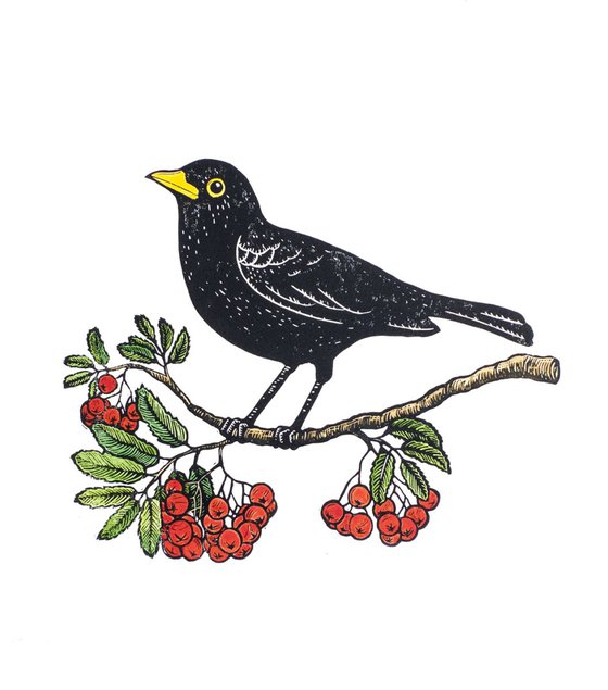 Blackbird & Rowanberries, original hand-colored linocut