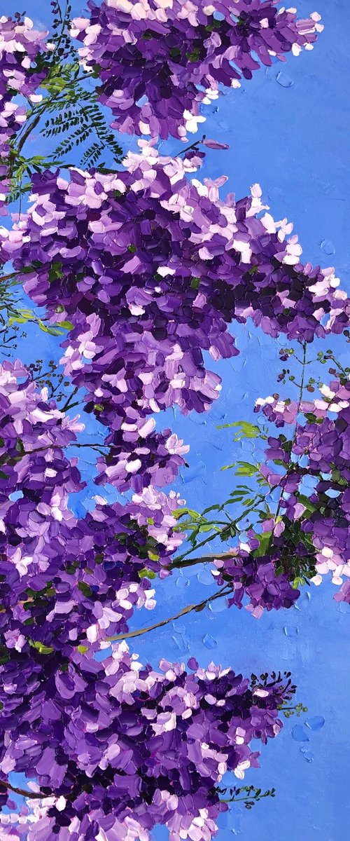 Jacaranda by Ulyana Korol