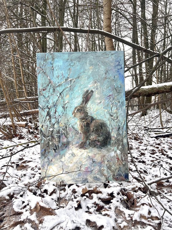 Hare in the snow