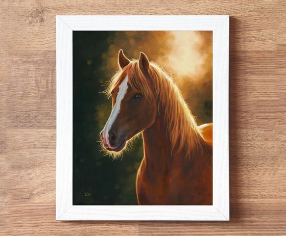 Brown horse portrait at sunset