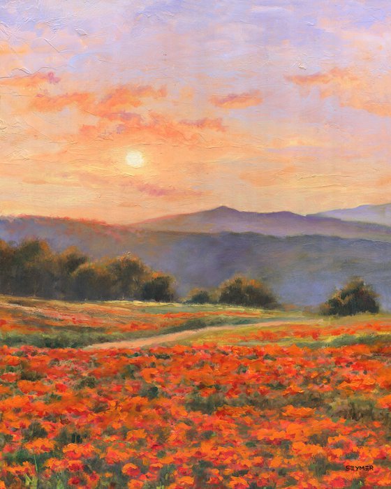 'Peaceful poppy field'