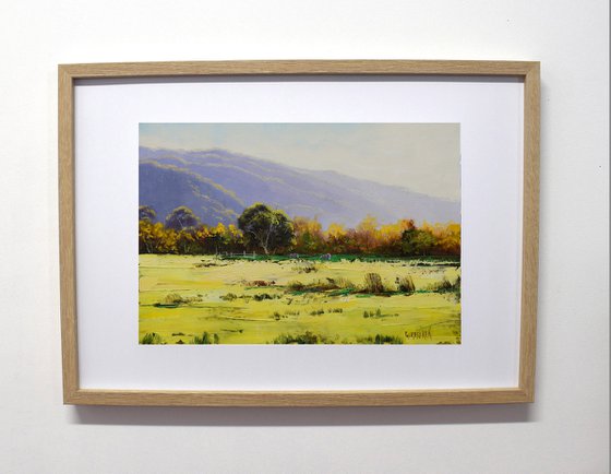 Australian rural landscape