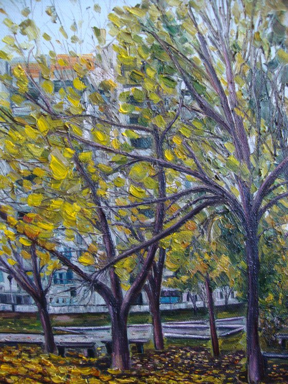 Yellow autumn