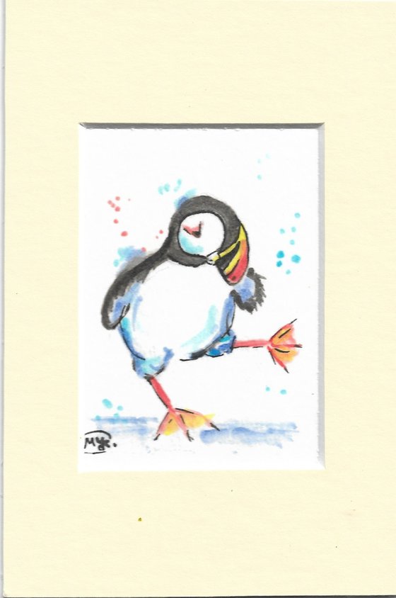 Puffin Dancing