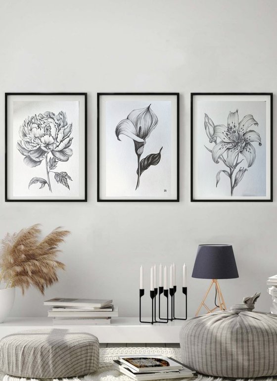 Peony
