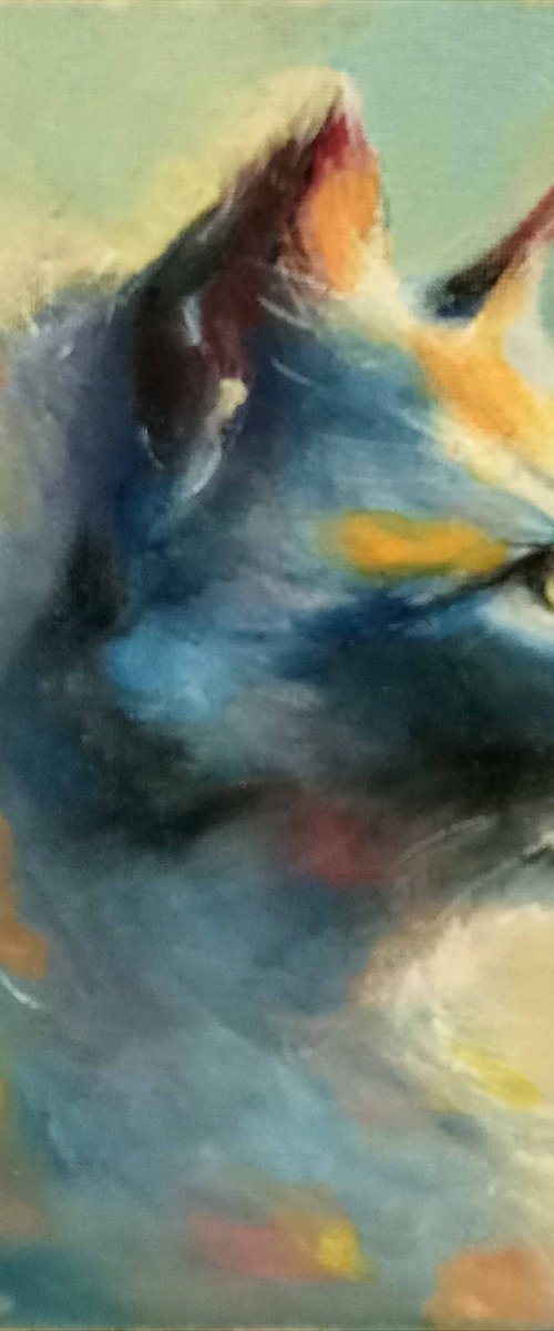 Portrait of a cat by Susana Z. Harris