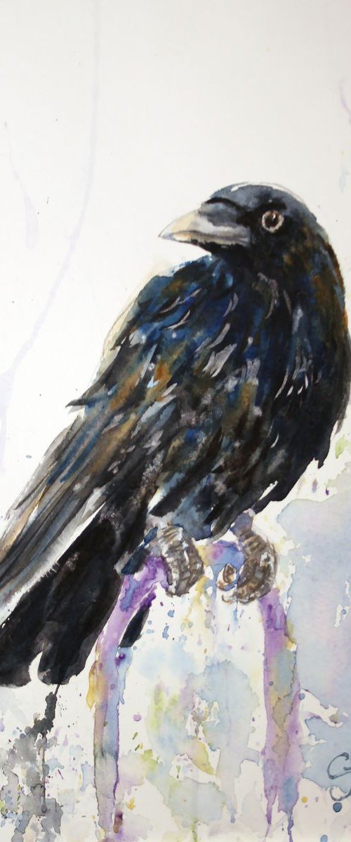 RAVEN III  /  ORIGINAL PAINTING by Salana Art Gallery