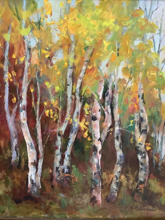 Autumn Splendor