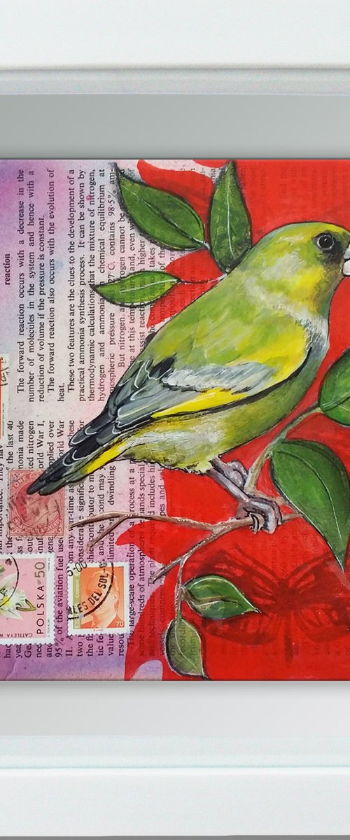 Greenfinch - Ornithology#4 - Framed ready to hang original painting by Carolynne Coulson