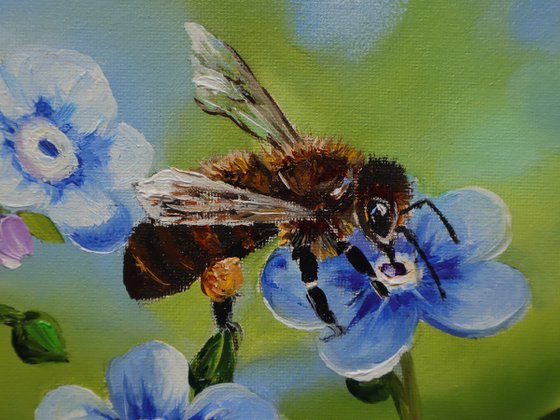 Honey Bee on Blue Flower