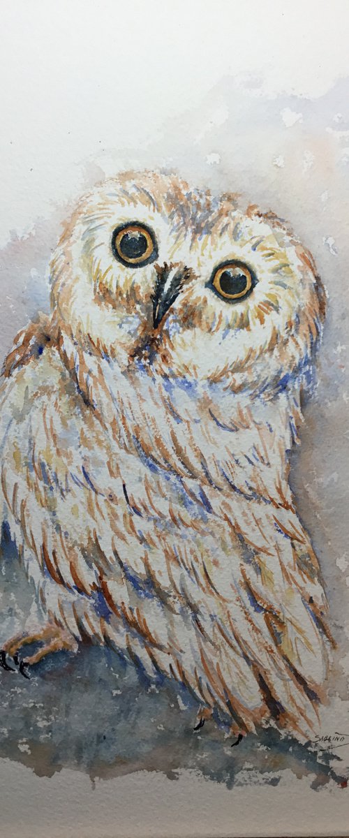 Baby owl by Sabrina’s Art